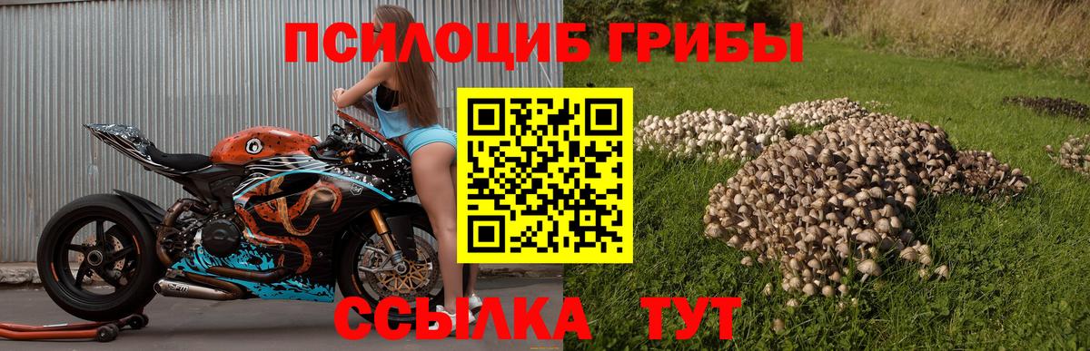 Псилоцибиновые грибы ЛСД Тобольск